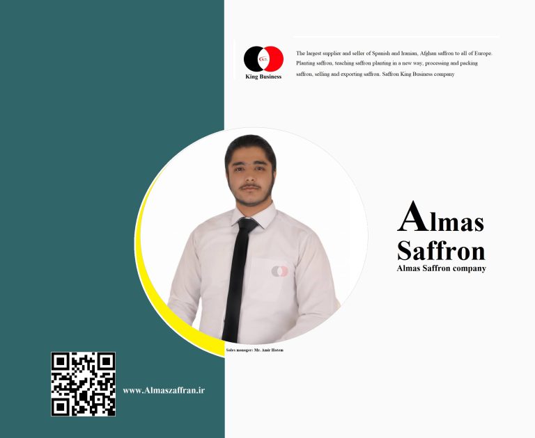 Sales manager Mr. Amir Hatem.